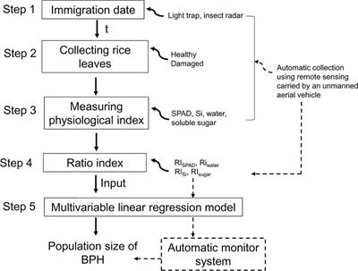 Estimating insect pest density using the physiological index of crop leaf